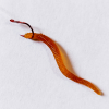 Rote künstliche Angelwürmer Mistwurm Rotwurm Kunstköder Angelwurm Angeln Köder Aroma