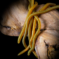 Künstliche Regenwürmer Angelwurm Aroma Rotwurm Kunstköder Angel Köder Mistwurm Käse 8-9cm