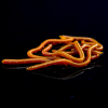 Künstliche Regenwürmer Angelwurm Aroma Rotwurm Kunstköder Angel Köder Mistwurm Shrimp 8-9cm