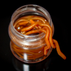 14x Angelwürmer im Dip +Aroma künstliche Regenwürmer Angel Kunstköder Dendrobena Shrimp / Garnele